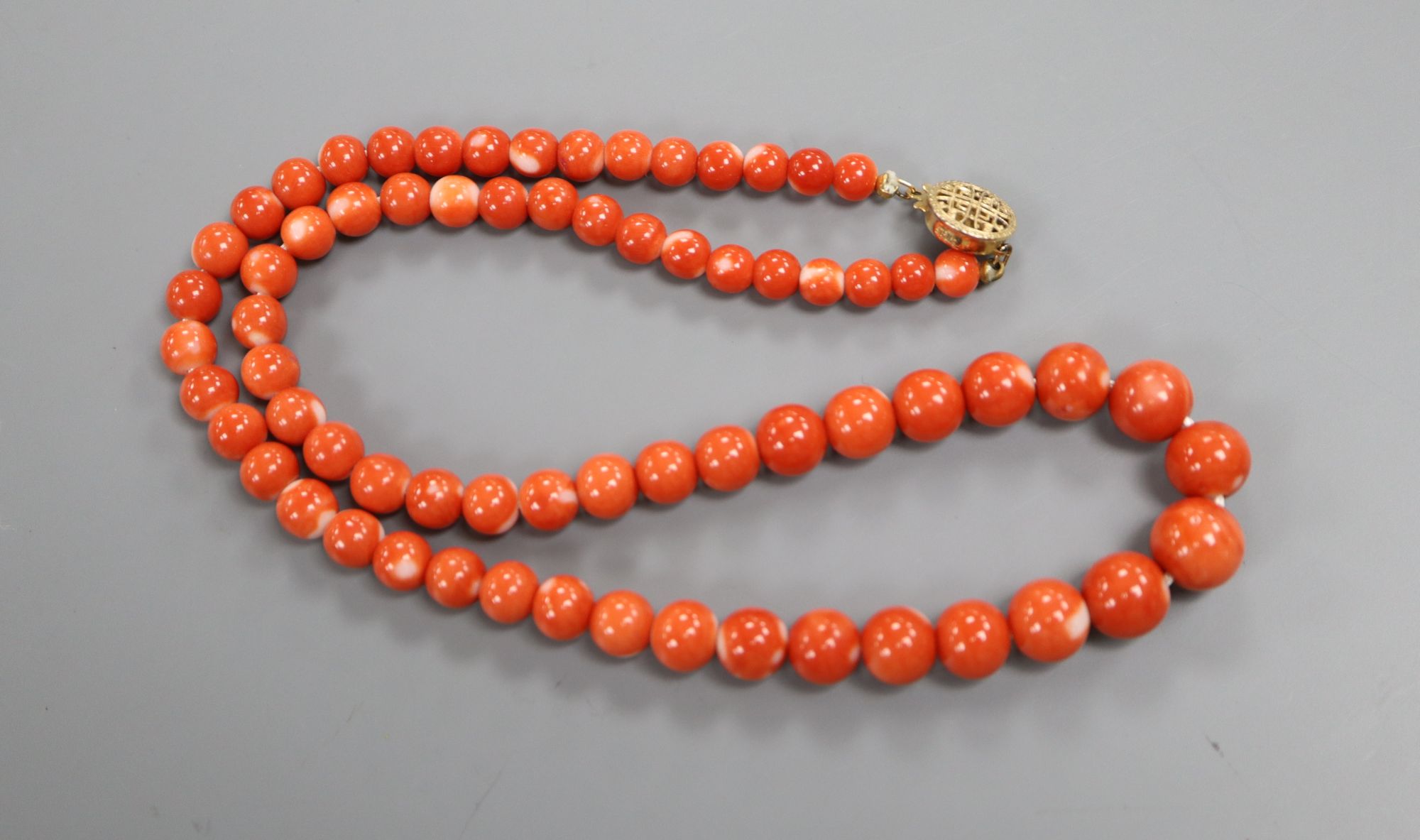 A single strand coral bead necklace, with gilt sterling clasp, 45cm, gross 32 grams.